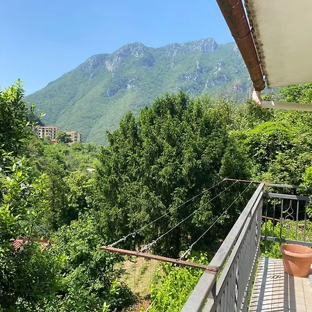 Vito Angela * Campagna
